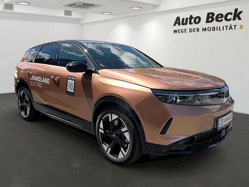 Opel Grandland X Grandland Electric 73kWh GS